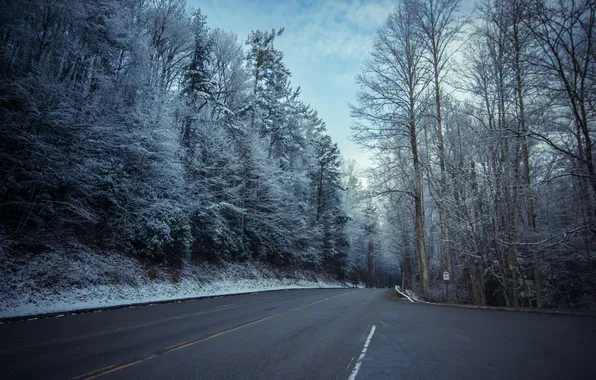 Frost, road, snow, trees, landscape, nature, signs