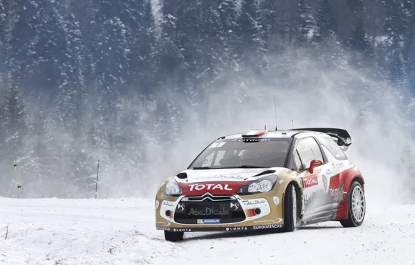 Picture snow, skid, rally, wrc, citroen, snow, Citroen, ds3