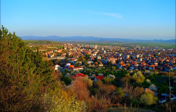 Home, The city, Panorama, Roof, Panorama, Town