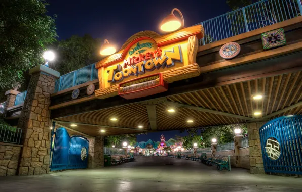 Night, CA, USA, Disneyland, Bridges