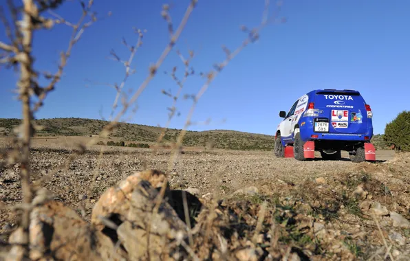 Blue, Toyota, Rally, Dakar, Toyota