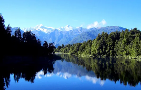 Forest, landscape, nature, lake, reflection