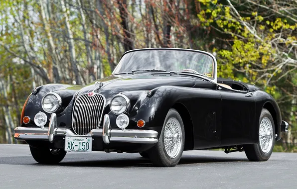 Road, retro, lights, grille, convertible