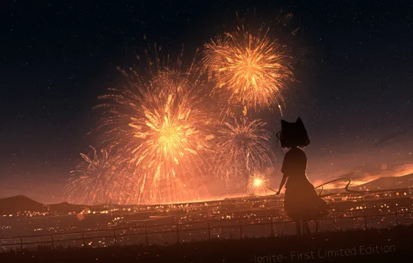Cat, the sky, girl, night, fireworks, Sparkler
