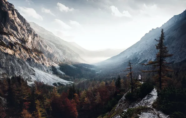 Autumn, mountains, fog