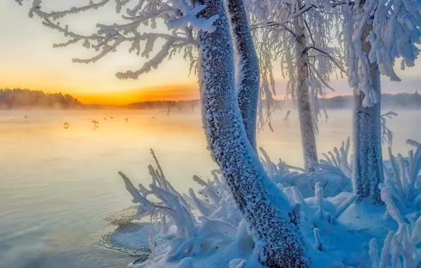 Winter, snow, trees, lake, Finland, Finland, Southern Savonia, South Savo