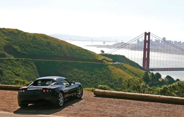 Bridge, nature, Tesla