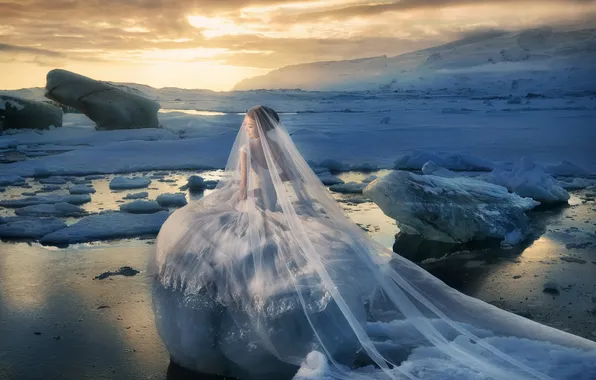 Picture Asian, the bride, veil