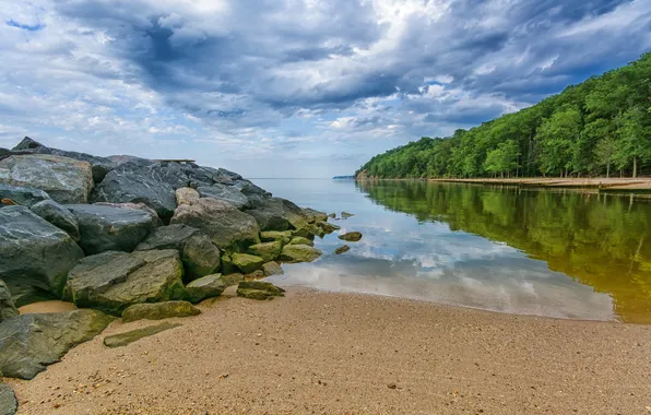 Forest, the sky, trees, clouds, lake, stones, shore