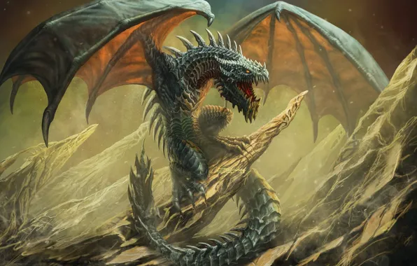 Dragon, Wyvern, Art Edit, Wyvern