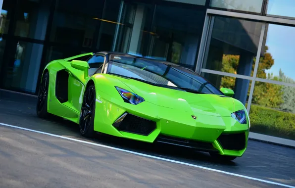 Picture Roadster, Lamborghini, Green, Aventador