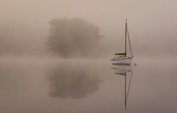 Picture fog, lake, boat, morning, yacht