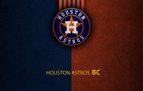 Download Houston Astros Player Diving On Plate Wallpaper  Wallpaperscom