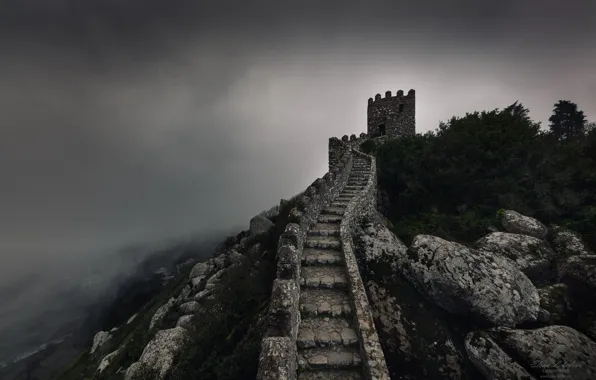 Castle, overcast, tower, hill, ladder, stage, ruins