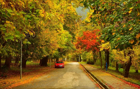 Picture Road, Autumn, Trees, Street, Fall, Foliage, Autumn, Street