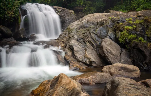 Picture nature, waterfall, jungle, India, Kerala