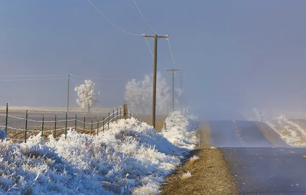 Frost, road, landscape, fog, morning
