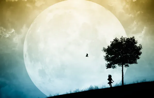 Picture trees, bird, the moon, silhouette, girl