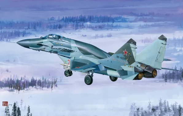 Picture The Russian air force, multi-role fighter of the fourth generation, OKB MiG, The MiG-29SMT, a …