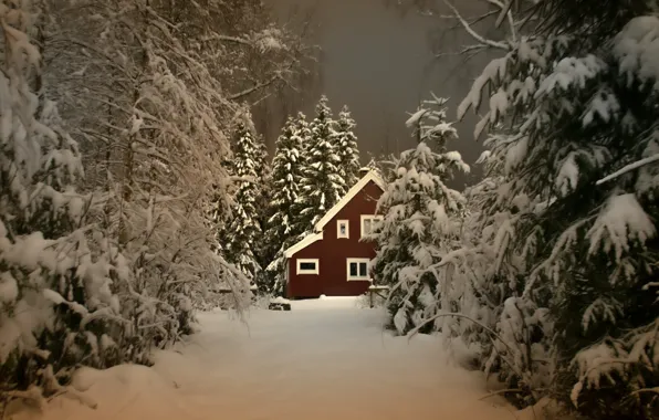 Picture winter, forest, snow, trees, landscape, nature, house, the evening