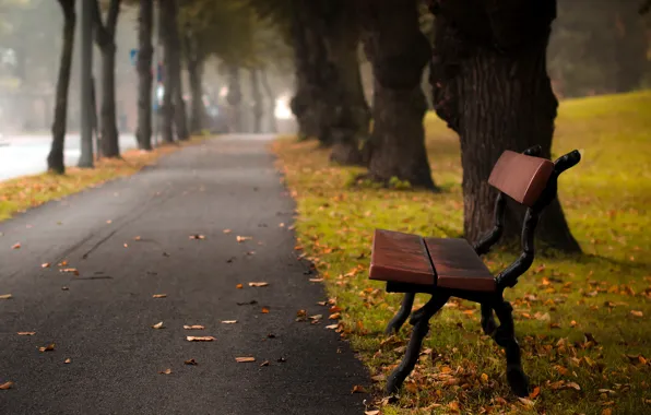 Picture the city, street, Autumn bench