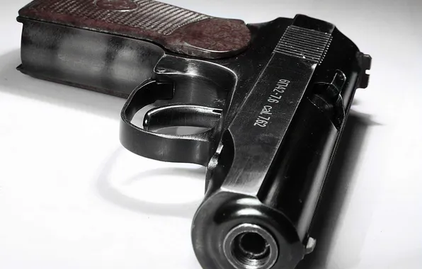 Picture gun, The Makarov Pistol, Makarych