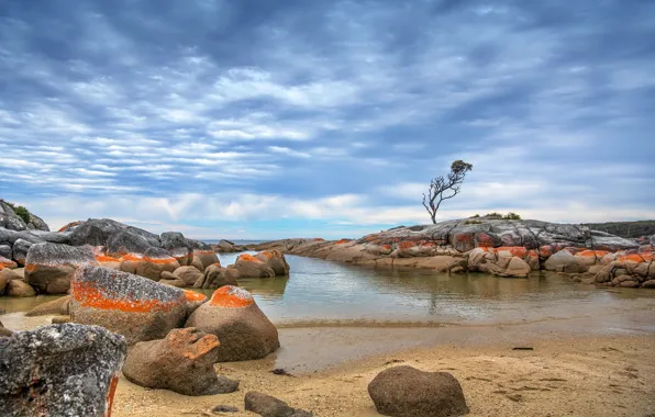 Picture sea, shore, Tasmania, Binalong Bay