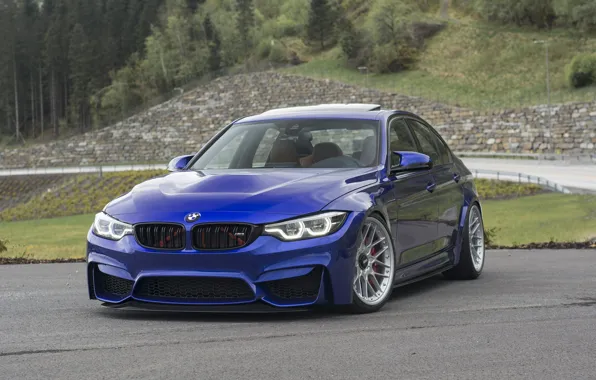 Picture BMW, Blue, Sedan, F82, Sight