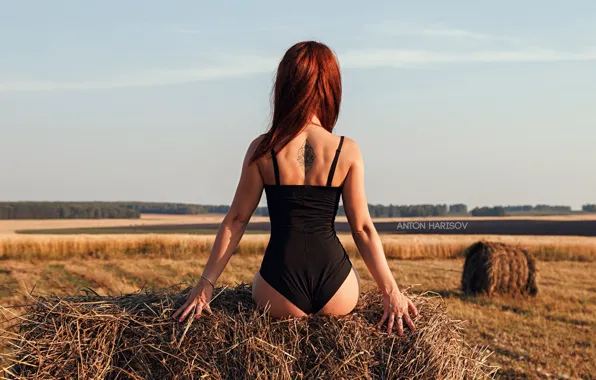 Field, swimsuit, girl, pose, figure, hay, Anton Kharisov, Svetlana Marchenko