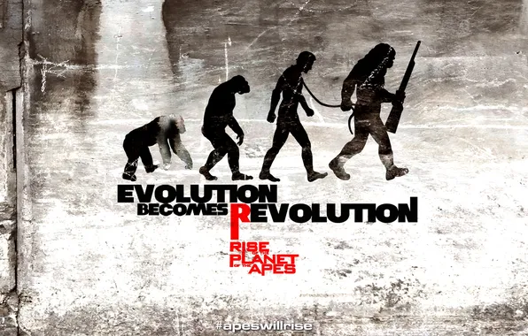 Rise of the planet of the apes, rise of the planet of the apes, Evolution …