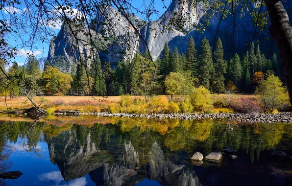 Water, trees, mountains, branches, reflection, stones, rocks, shore