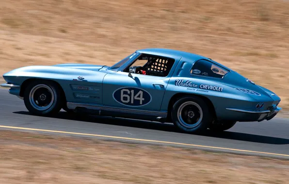 Picture car, Corvette, Chevrolet, Chevrolet Corvette Stingray, road, blue, Stingray