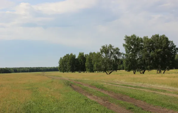 Road, the sky, grass, clouds, the steppe, Forest, Summer, birch