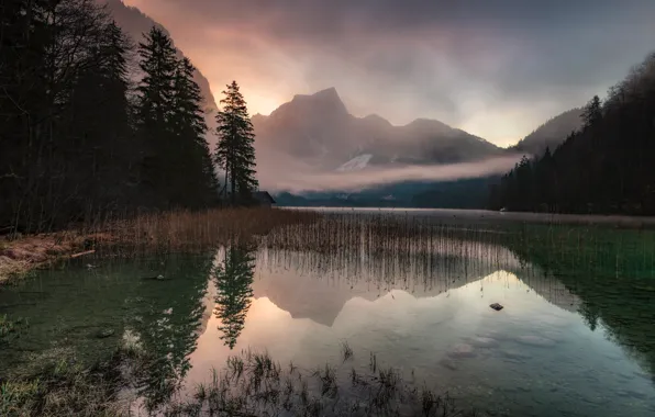 Picture forest, mountains, reflection, pond