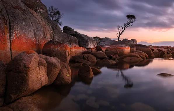 Clouds, sunset, reflection, stones, tree, rocks, shore, pond