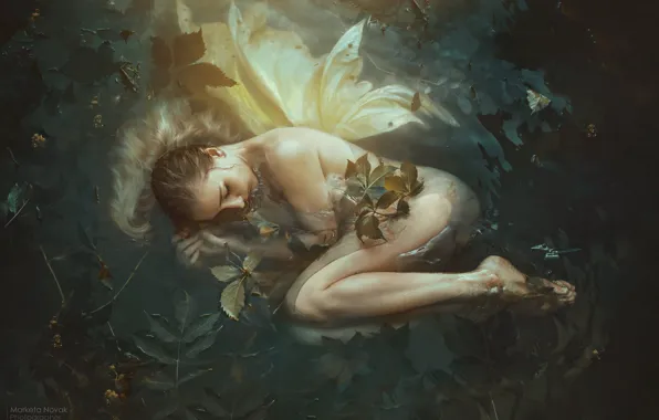 Picture leaves, water, girl, pose, mood, sleep, the situation, fairy