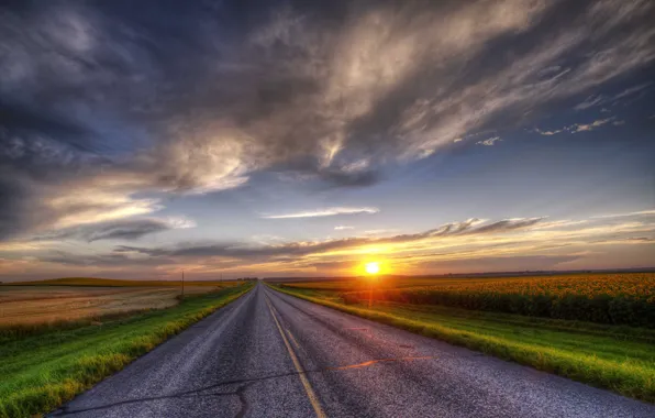 Picture road, sunflowers, sunset