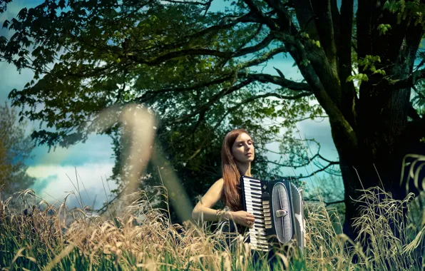 Picture girl, music, accordion