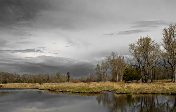 Trees, lake, overcast, Autumn, trees, autumn, lake, fall