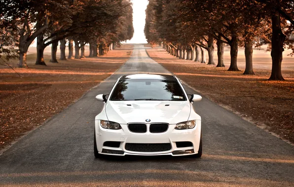 Picture road, autumn, trees, BMW, white
