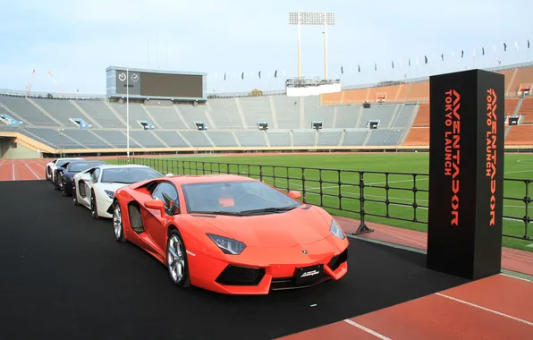 Background, beauty, stadium, lamborghini lp700-4 aventador