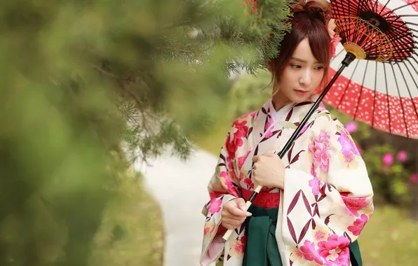 Picture branches, umbrella, bokeh, East, Brode十三