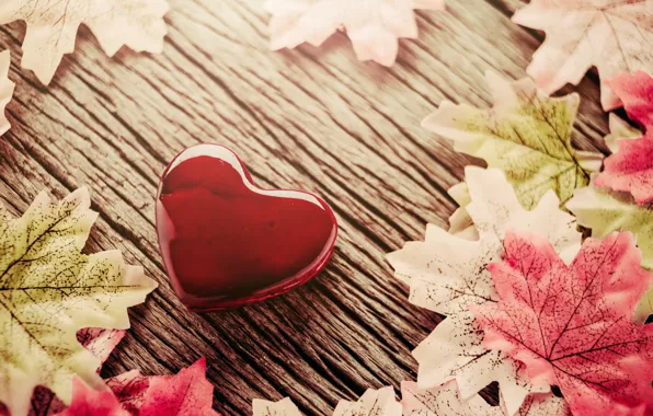 Autumn, leaves, background, heart