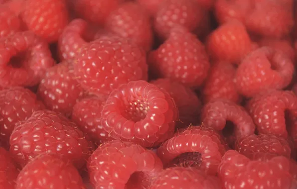 Macro, berries, raspberry