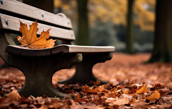 Autumn, leaves, bench, Park, trees, park, autumn, leaves