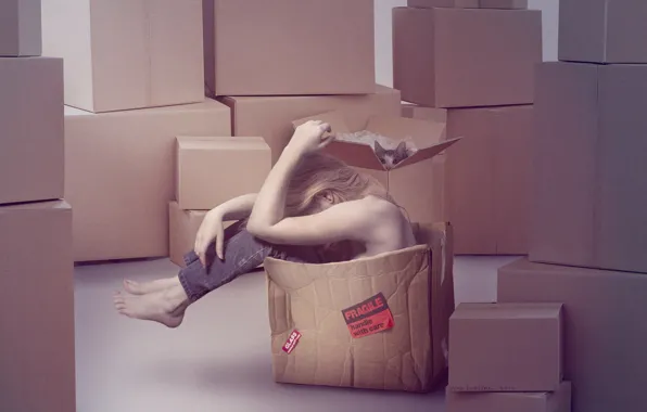 Picture cat, girl, box, sadness, cardboard, moving, fragile