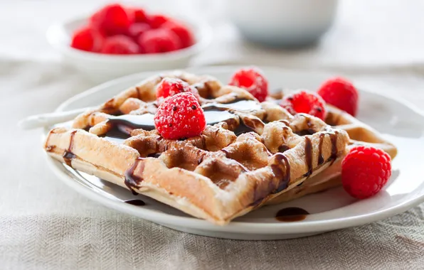 Berries, raspberry, plate, dessert, waffles, sweet, powdered sugar, chocolate glaze