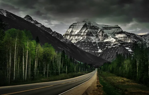 Road, forest, mountains, nature, Mount Robson