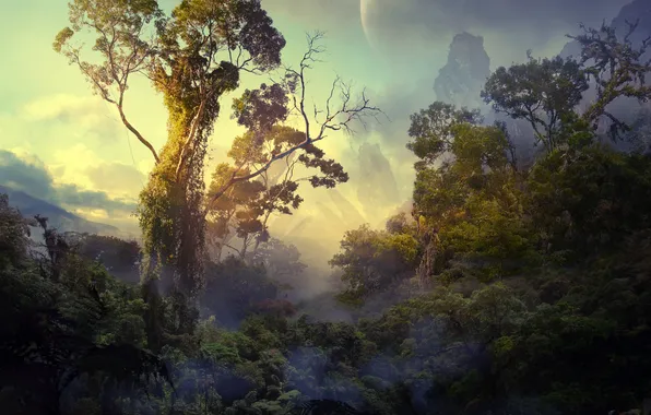 Picture forest, jungle, Pandora