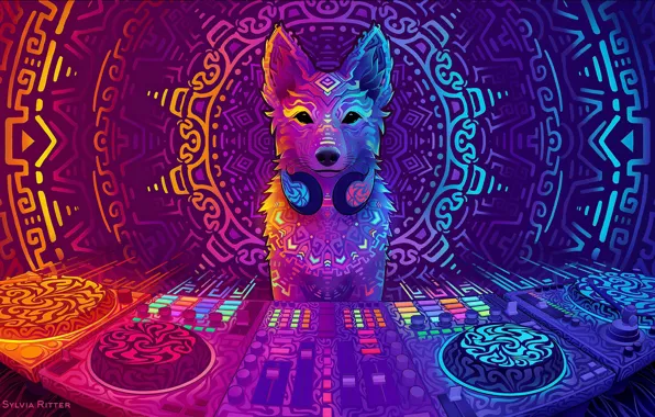 Picture dog, art, DJ, art, DJ, 2019, Disco Dingo, Sylvia Ritter